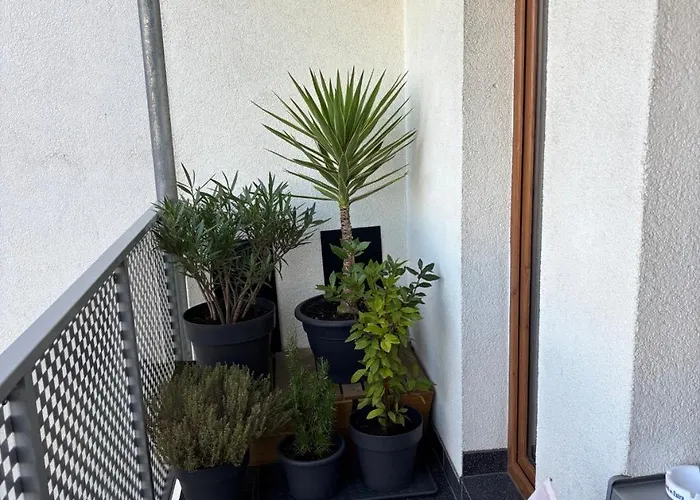 Champion-free Parking-posciel Hotelowa 公寓